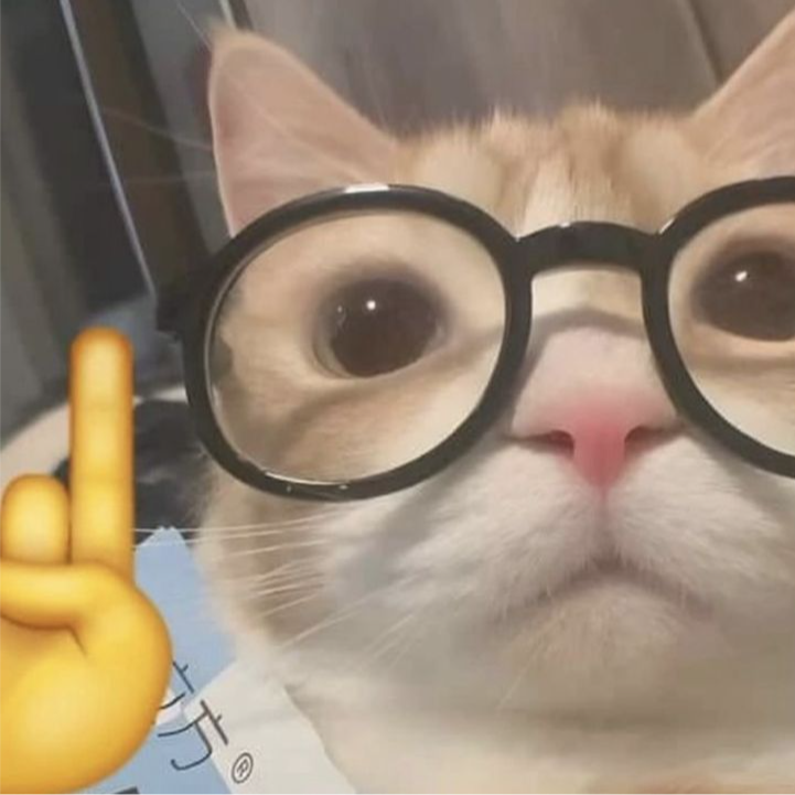 Nathan's Profile Picture